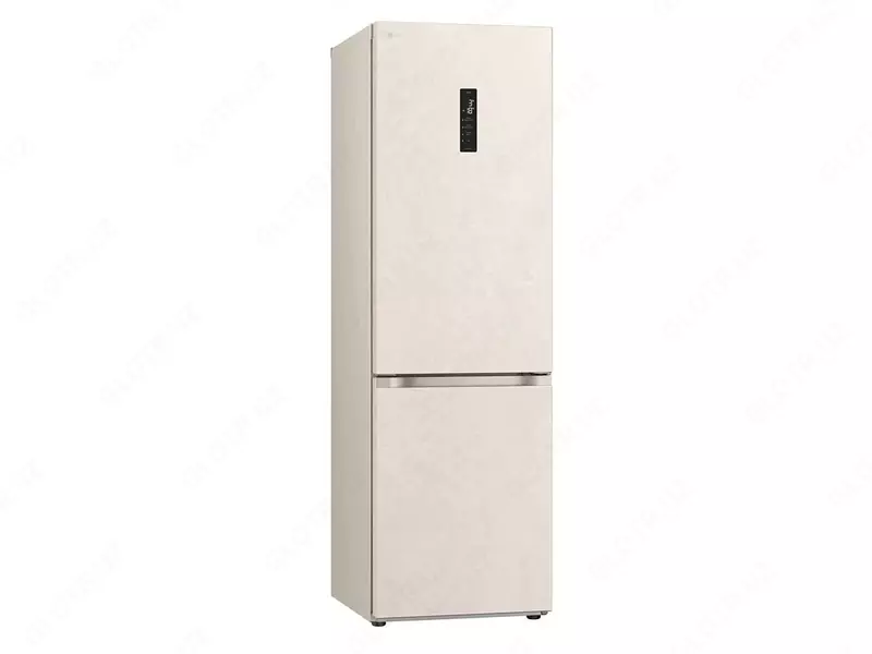 LG GR-B459FVFW muzlatgichi