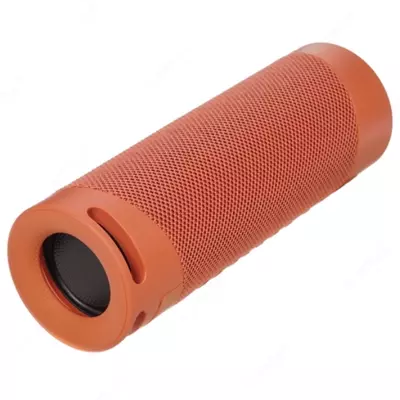 Портативная акустика Sony SRS-XB23