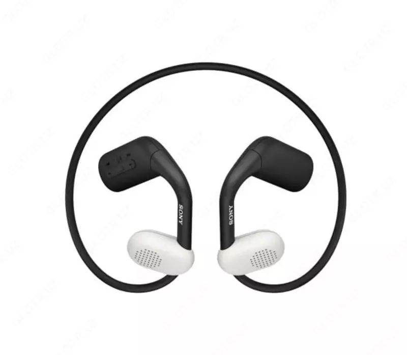 Беспроводные наушники Sony WI-EO610