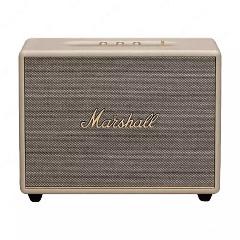 Portativ akustika Marshall Voburn III