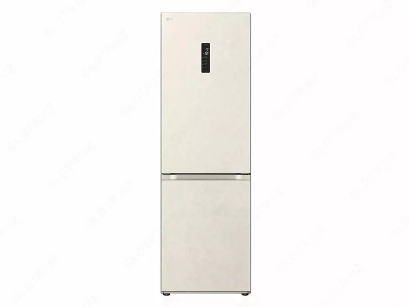 Холодильник LG GR-B509FVFW