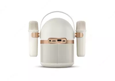 Portativ akustika Philips TAS2509WT (Караоке)