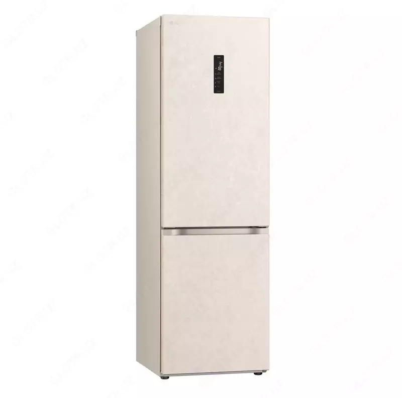 LG GC-B459FVFW muzlatgichi