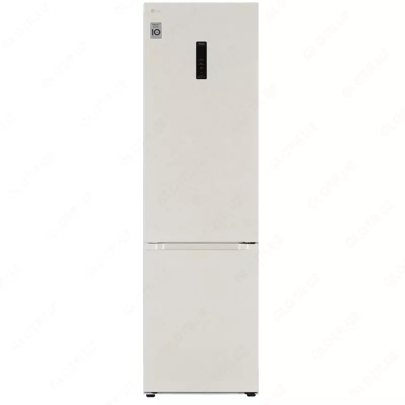 Холодильник LG GC-B509FEMW