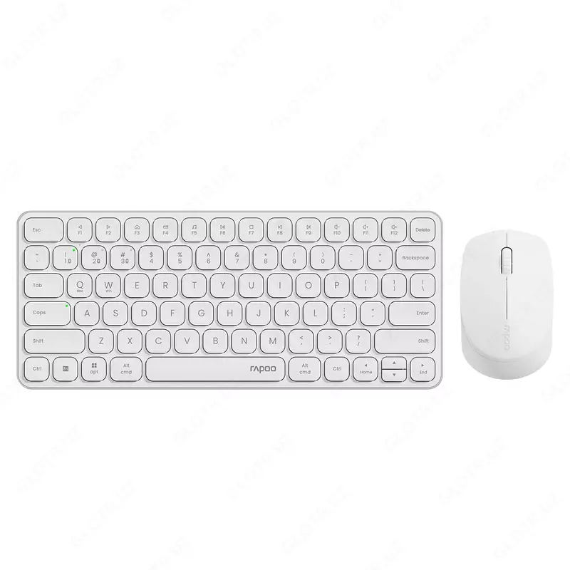 Комплект беспроводная клавиатура и мышь Rapoo 9010M White / BLACK