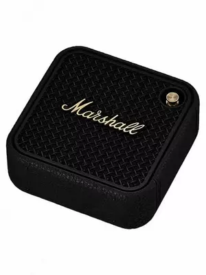 Marshall Willen II Portativnaya akustika qora / krem