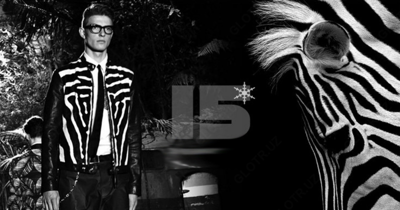 Куртка  DC Shoes