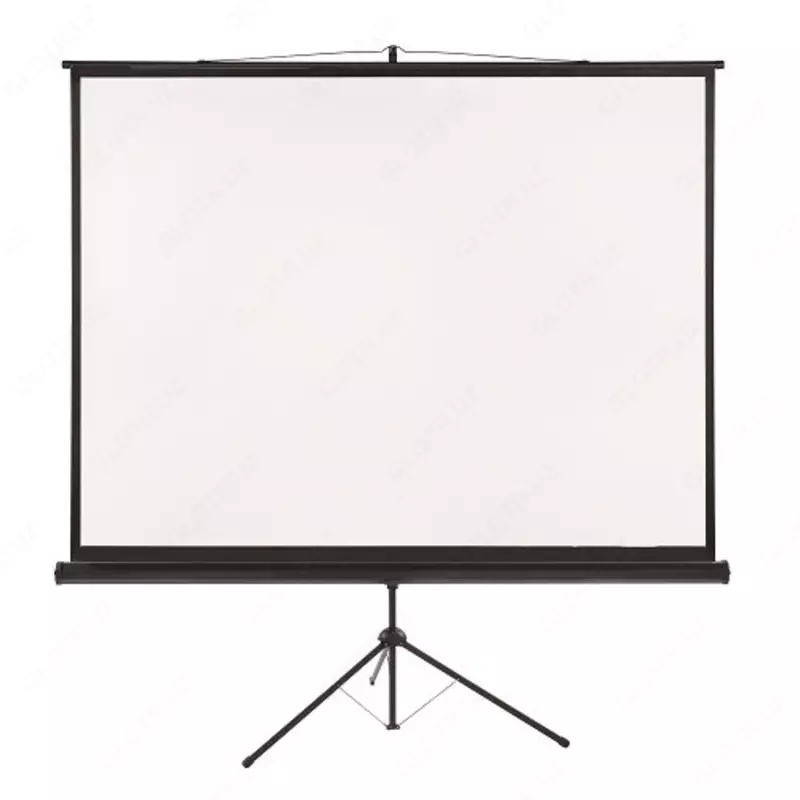 Экран на треноге e-SURF StNT-120