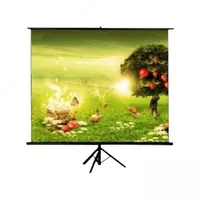  Экран на треноге e-SURF StNT-120 - 