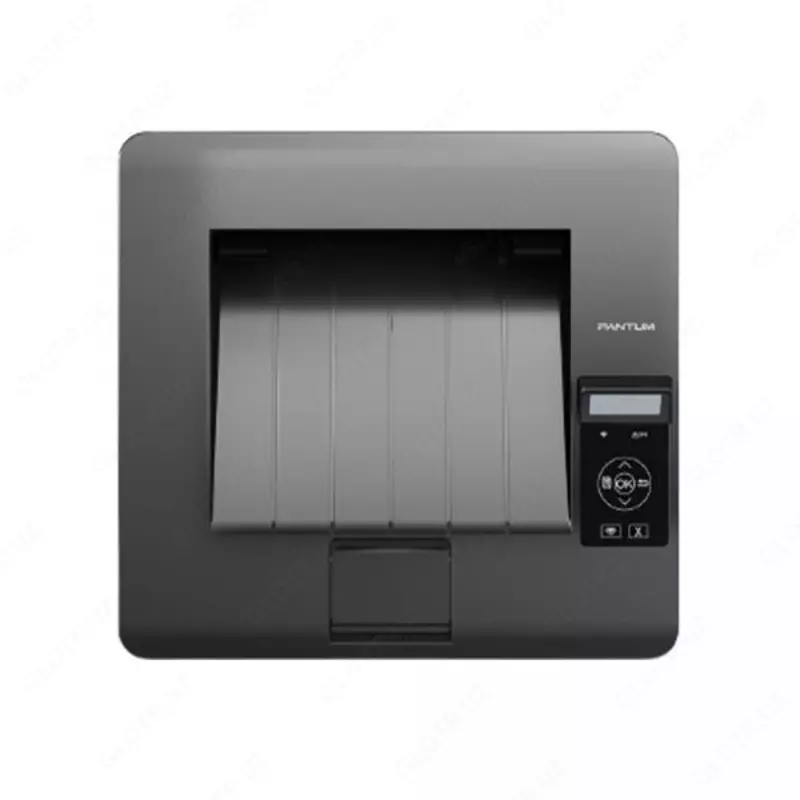  Принтер Pantum BP5100DW В рассрочку