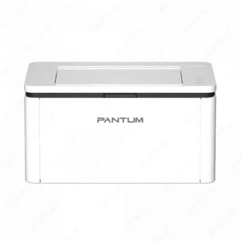 принтеры МФУ Pantum BM2300
