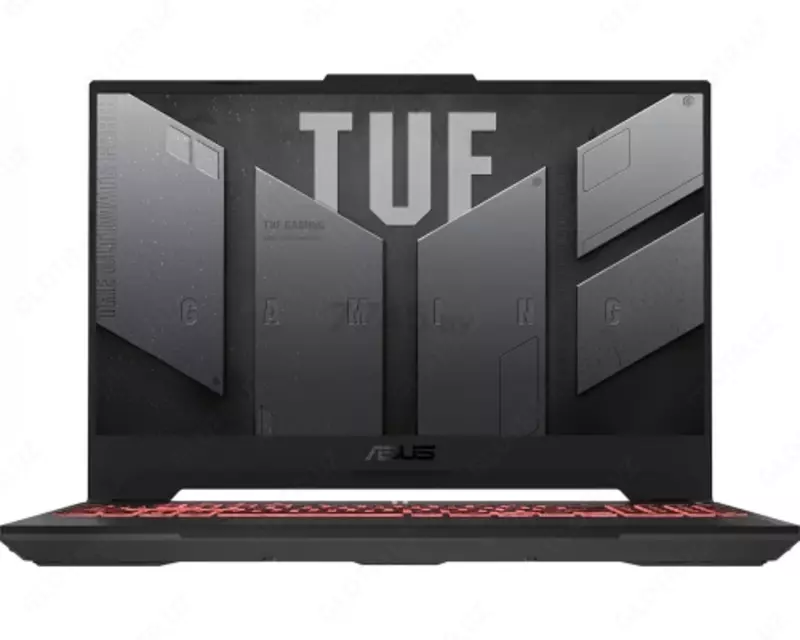 Ноутбук Asus TUF Gaming A15 FA507NVR-LP040 (90NR0JK5-M00230)