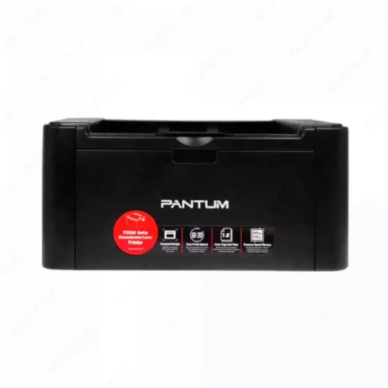 Принтер Pantum P2503