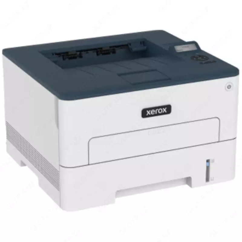  Принтер лазерный Xerox B230 (B230V_DNI) - 