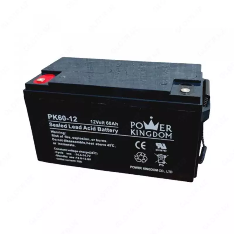 Аккумулятор Power Kingdom для ИБП 12V/60Ah
