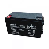 Аккумулятор Power Kingdom для ИБП 12V/60Ah