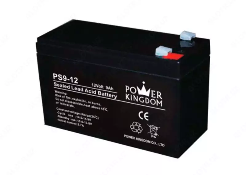 Аккумулятор Power Kingdom для ИБП 12V/250Ah