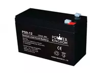 Аккумулятор Power Kingdom для ИБП 12V/250Ah