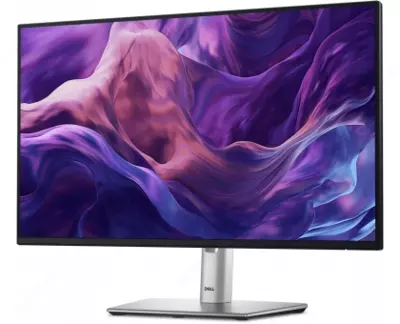 Монитор Dell P2425H (210-BMFF)