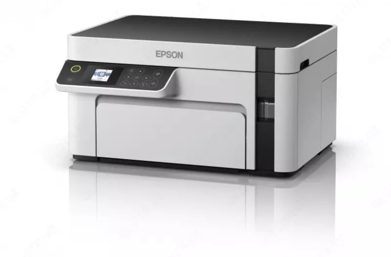 Принтер Epson M2110.
