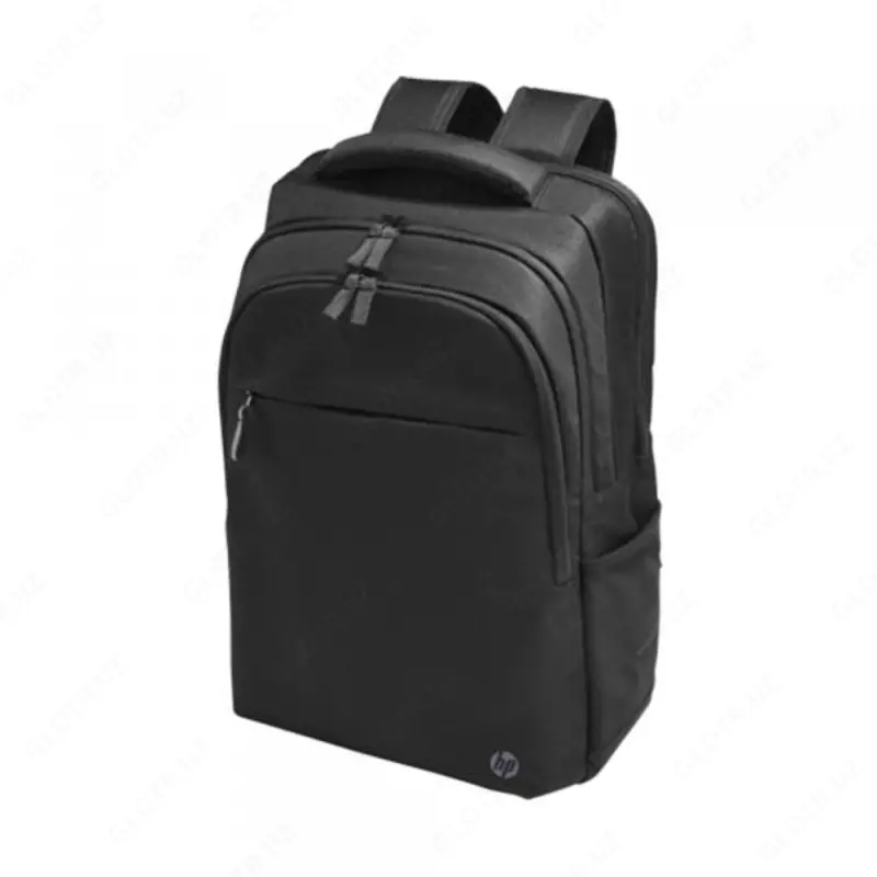 HP Professional 17.3 Backpack, noutbuk uchun ryukzak, 500S6AA