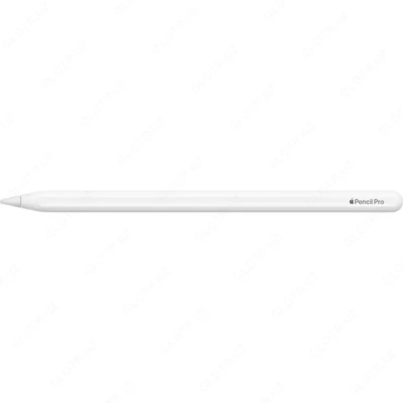 Apple Pencil Pro / A2538