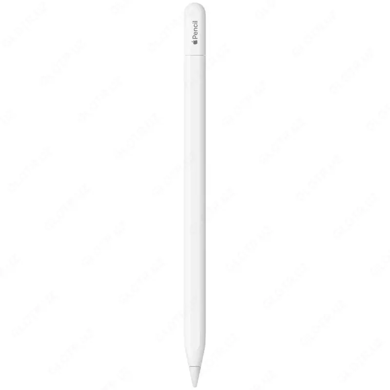 Apple Pencil Pro / A2538