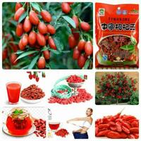 Ягоды Годжи для вашей стройности купить в Ташкенте