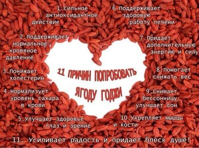 Ягоды Годжи (Тибетский Барбарис красный)