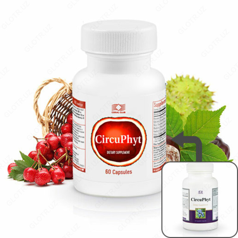 ЦиркуФит от Coral Club - 369 000 so'm