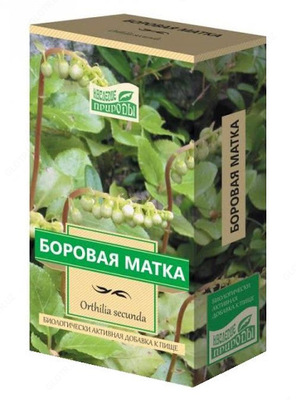 Боровая матка при зачатии — правила приема и эффективность