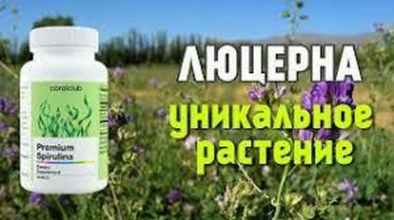 Корал Люцерна от Coral Club капсулы 120 шт купить в Ташкенте