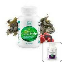  Coral kelp (Coral Kelp) 60 dona Coral club kapsulalarini Toshkentdan sotib oladi - 