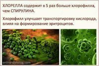 Хлорелла таблетки от Коралловый клуб 180 шт купить в Ташкенте