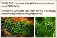  Coral club dan Chlorella planshetlari 180 dona Toshkentda sotib olinadi