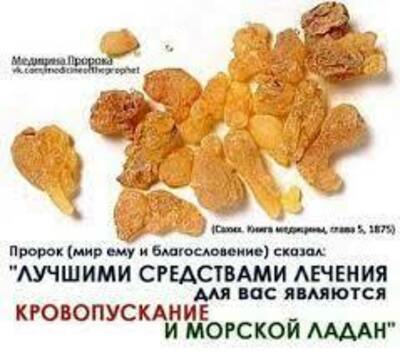 Кундур (Ладан) купить в Ташкенте