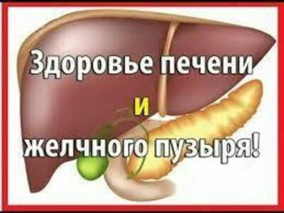 200 мл LVer Zime Тоник для печени
