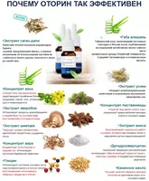   Капли Оторин для улучшения слуха 15 мл купить в Ташкенте