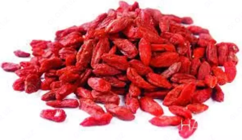   Сироп Dr. Shuster Натюрлих фреш ягоды Годжи  250 мл купить в Ташкенте