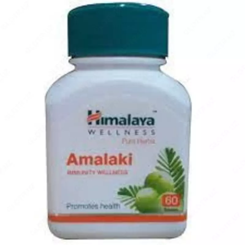 Антиоксидант Амла (Амалаки) Хималая, Amalaki Himalaya, 60 таблеток