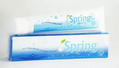 Лечебно-профилактическая Зубная паста, гель Spring Gel (Спринг гель) из Малайзия