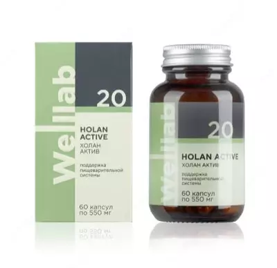 БАД для желчевыделительной системы Welllab HOLAN PHYTO ACTIVE, 60 капсул купить в Ташкенте