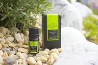 ЭФИРНОЕ МАСЛО SHARME ESSENTIAL ЛЕМОНГРАСС  5 МЛ. Россия. купить в Ташкенте