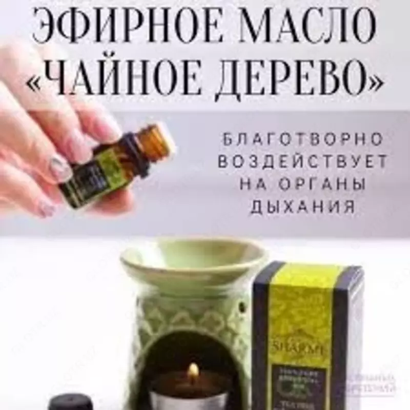  ЭФИРНОЕ МАСЛО SHARME ESSENTIAL ЧАЙНОЕ ДЕРЕВО  5 МЛ. Россия купить в Ташкенте - 