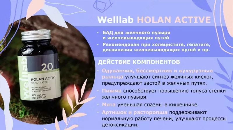БАД при нарушениях работы пищеварительной системы и несбалансированном питании Welllab HOLAN PHYTO ACTIVE  (Веллаб Холан Актив) 60 капсул купить в Ташкенте