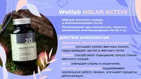 БАД при нарушениях работы пищеварительной системы и несбалансированном питании Welllab HOLAN PHYTO ACTIVE  (Веллаб Холан Актив) 60 капсул купить в Ташкенте