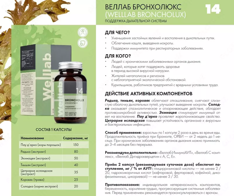  БАД при вирусным  микробным и инфекционным заболеваниям Welllab BRONCHOLUX INTENSIVE  60 капсул купить в Ташкенте - 
