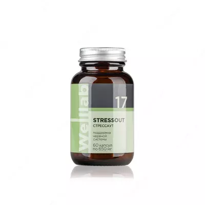 БАД улучшает кровоснабжение и работу головного мозга Welllab STRESSOUT PHYTO, (Веллаб Стрессаут Фито) 60 капсул купить в Ташкенте