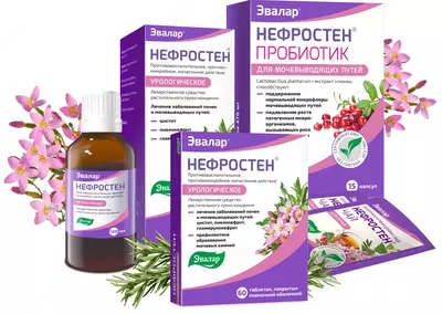 Нефростен Эвалар таблетки 60 шт купить в Ташкенте