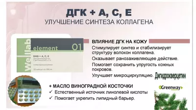 Дигидрокверцетин Гринвей с витаминами А, С, Е (Веллаб) Welllab купить в Ташкенте